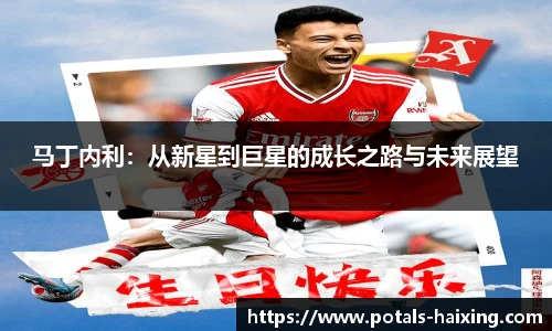 马丁内利：从新星到巨星的成长之路与未来展望